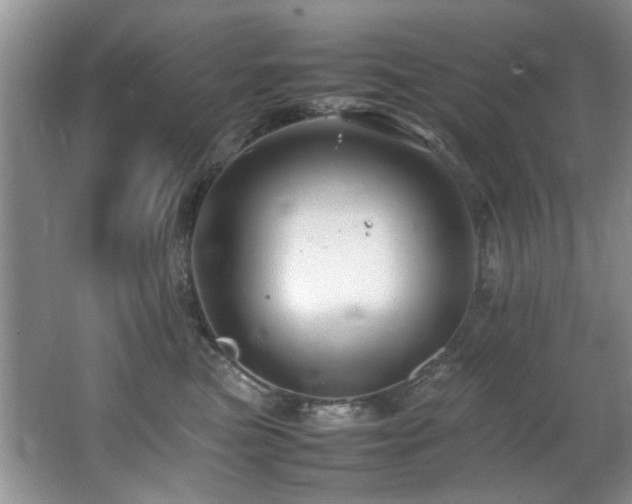 X0000065980473200603031159