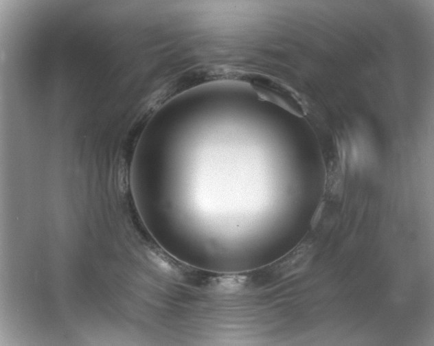 X0000065980474200603031159