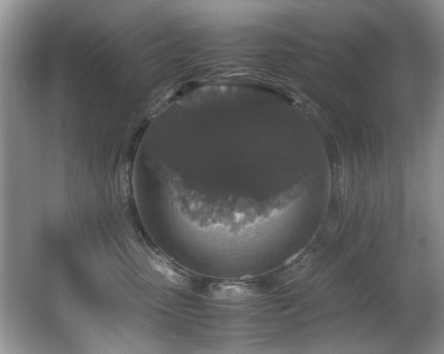 X0000065980475200603031159