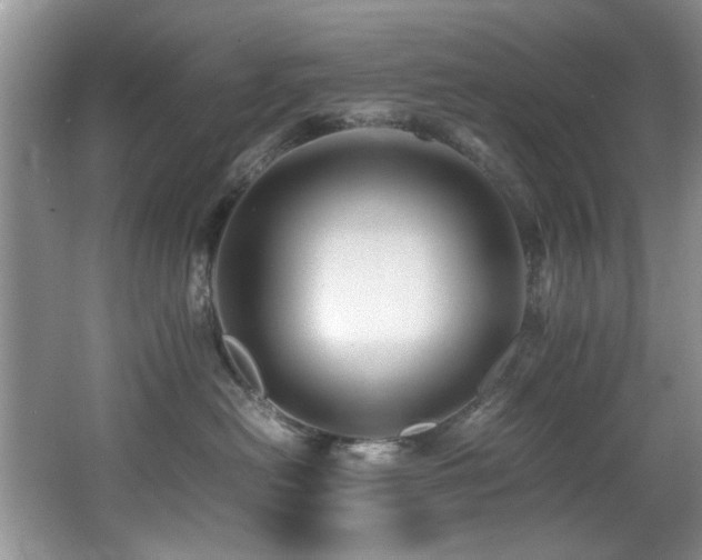 X0000065980478200603031159