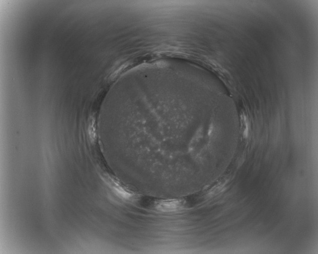 X0000065980479200603031159