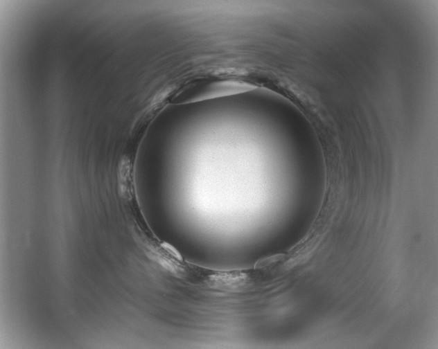 X0000065980480200603031159