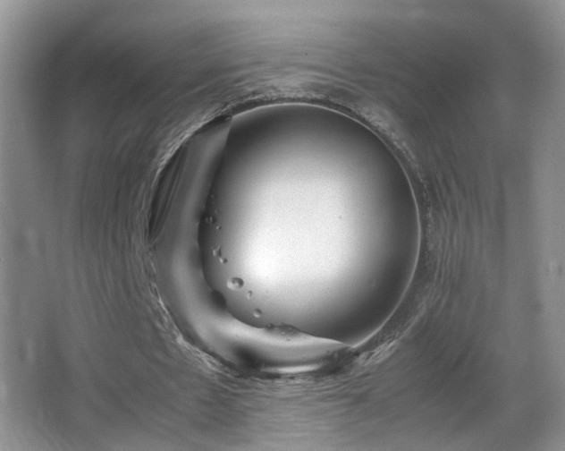 X0000065980481200603031158