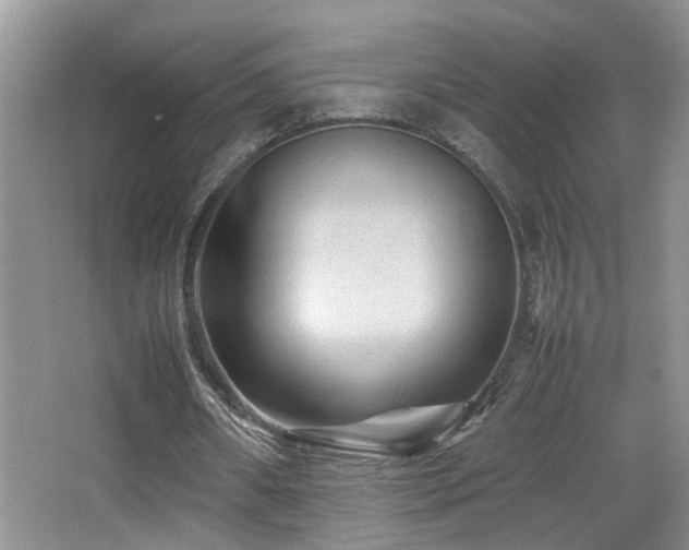 X0000065980482200603031158