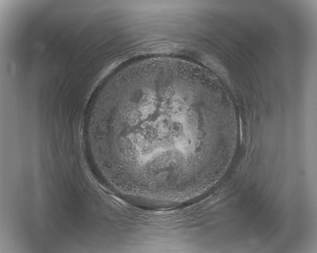 X0000065980483200603031158