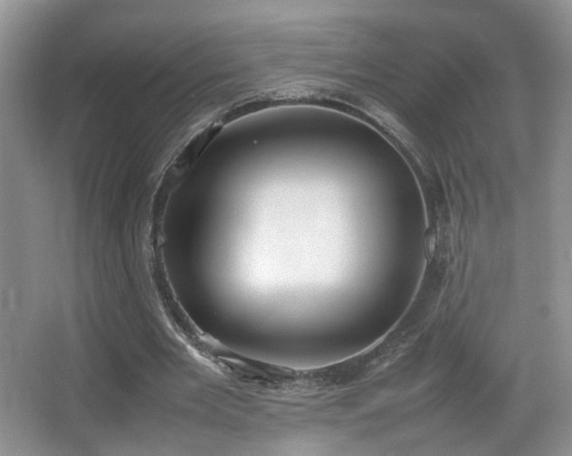 X0000065980485200603031158