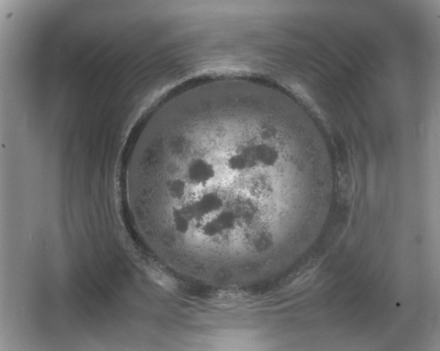 X0000065980487200603031158