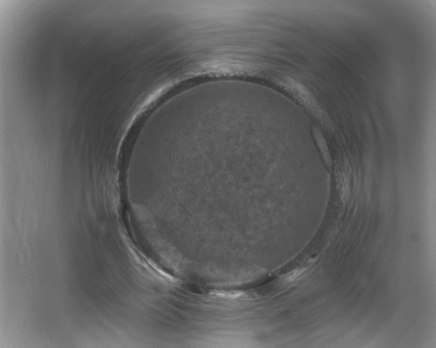 X0000065980488200603031158