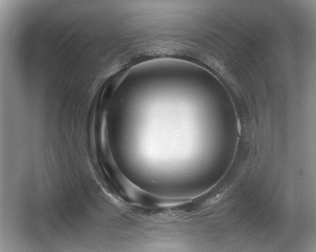 X0000065980489200603031158