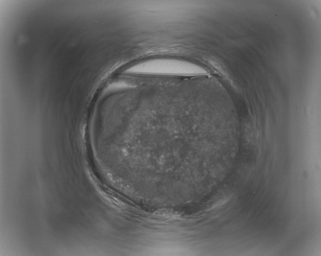 X0000065980491200603031158