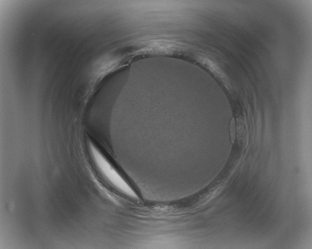 X0000065980493200603031158