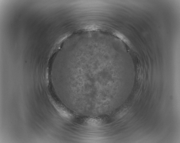 X0000065980494200603031158