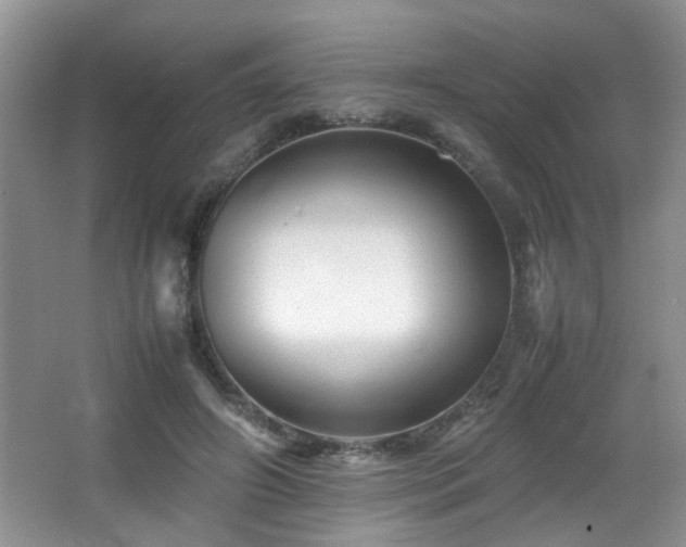 X0000065980498200603031158