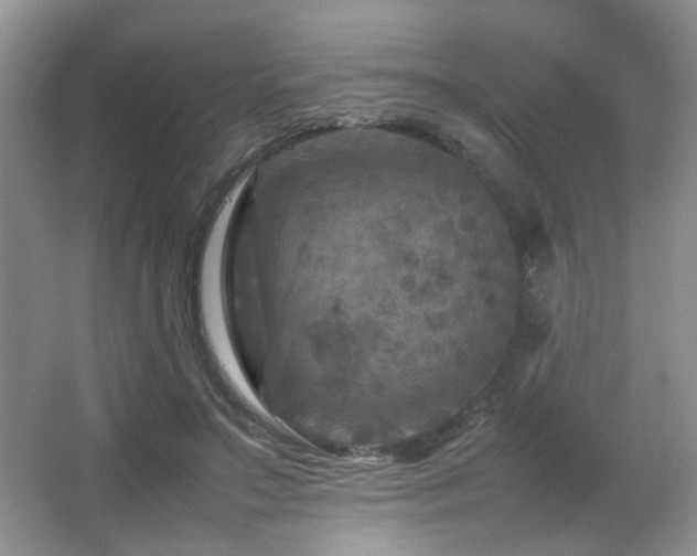 X0000065980499200603031158