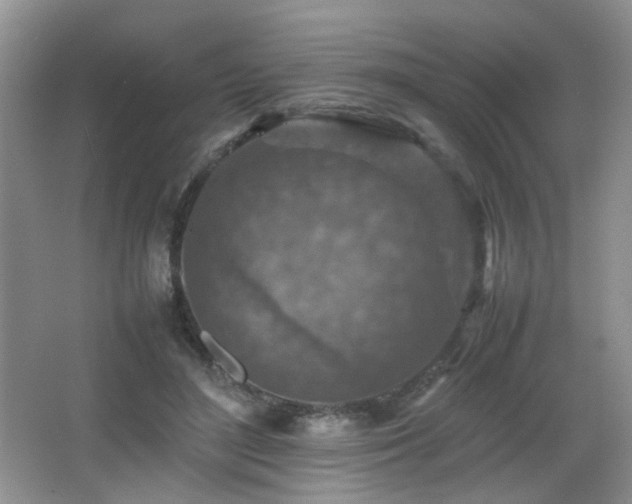 X0000065980500200603031158