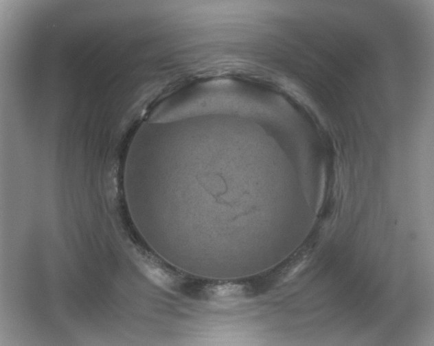 X0000065980501200603031158