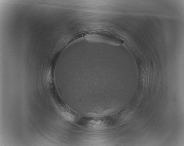 X0000065980502200603031158