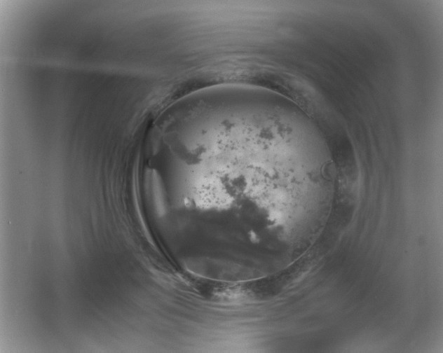 X0000065980503200603031158