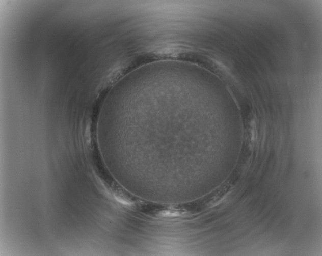 X0000065980504200603031158