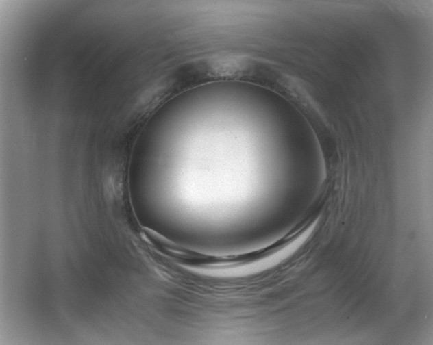 X0000065980505200603031158