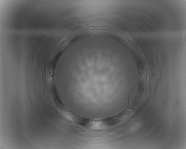 X0000065980507200603031158