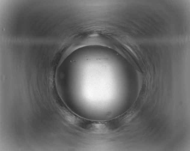 X0000065980509200603031158