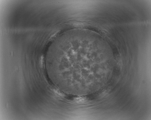 X0000065980511200603031158