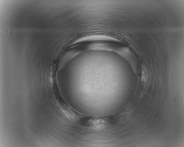 X0000065980512200603031158