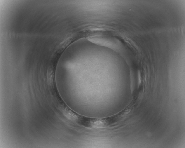 X0000065980513200603031158