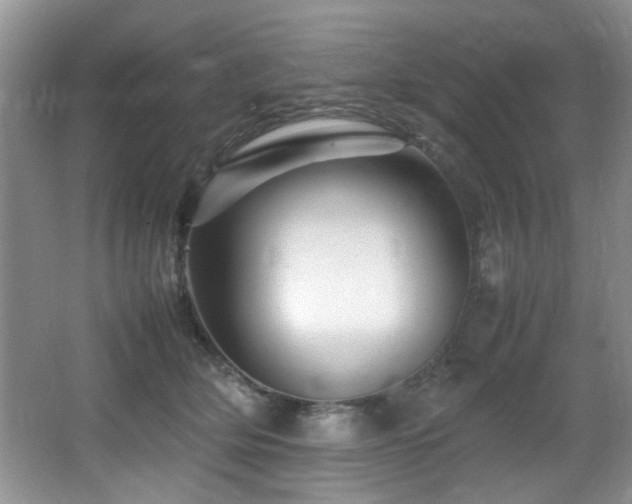 X0000065980514200603031158