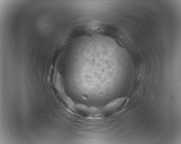 X0000065980515200603031158