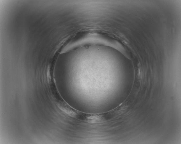 X0000065980516200603031158