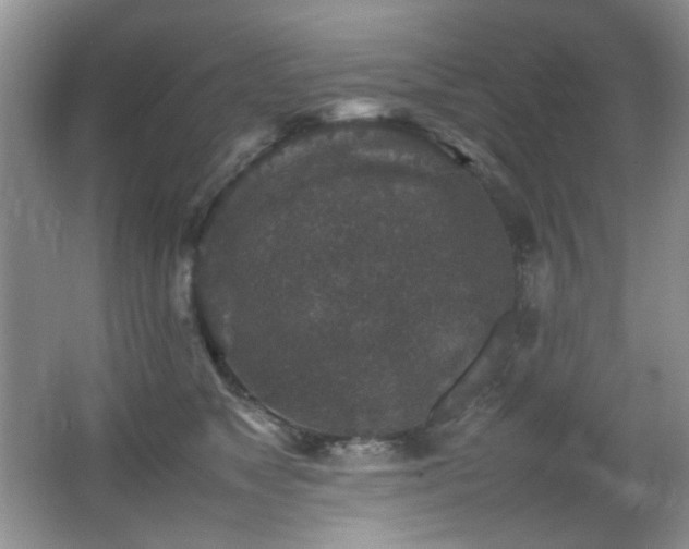 X0000065980517200603031158