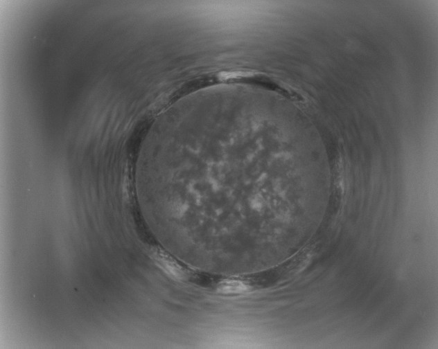 X0000065980519200603031158