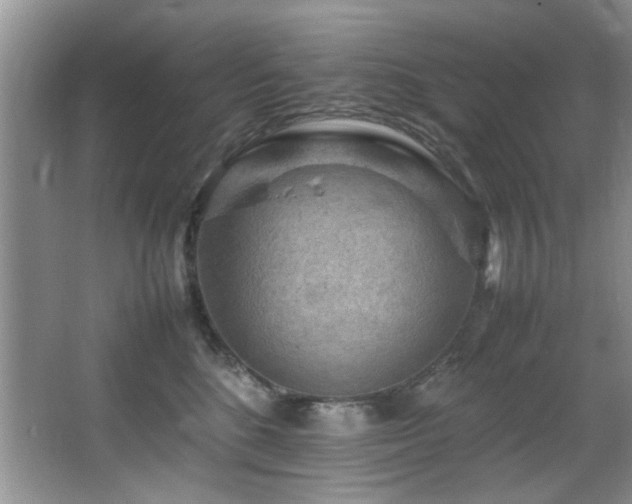 X0000065980520200603031158