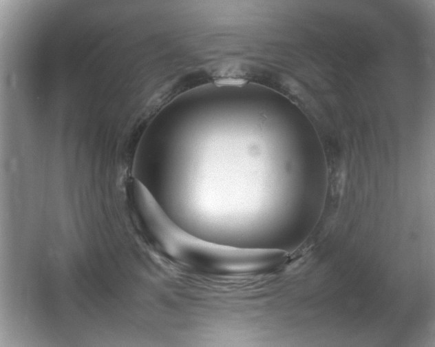 X0000065980521200603031158