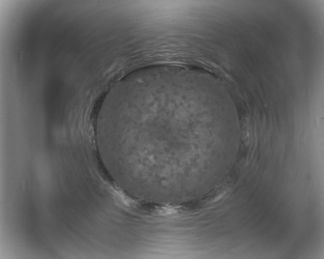 X0000065980523200603031158