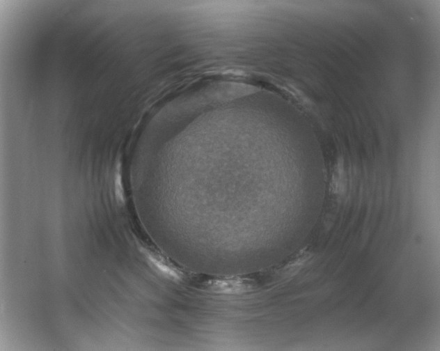 X0000065980524200603031158