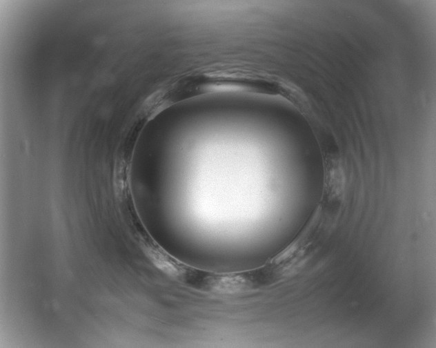 X0000065980525200603031158