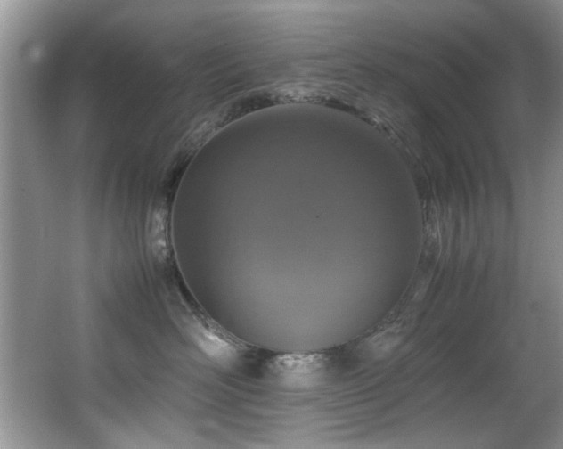 X0000065980526200603031158