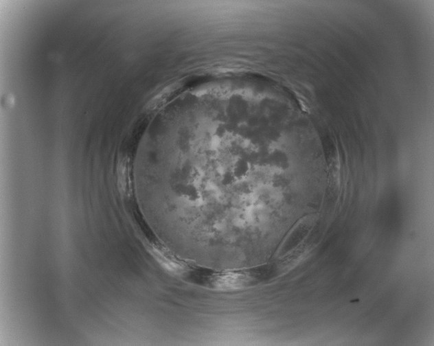 X0000065980527200603031158