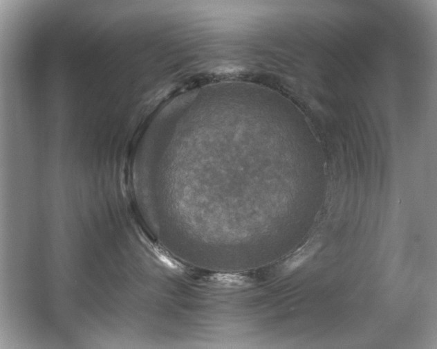 X0000065980528200603031158