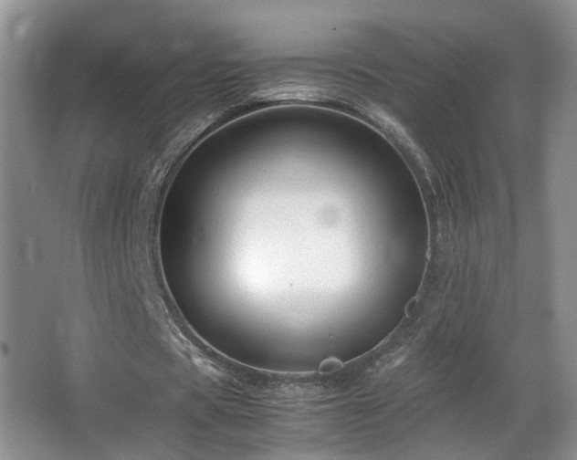 X0000065980529200603031157