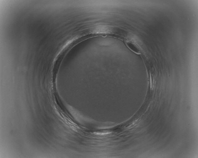 X0000065980531200603031157