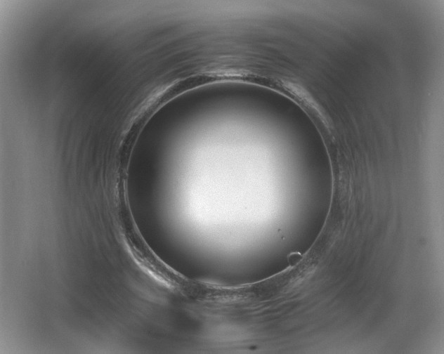 X0000065980533200603031157