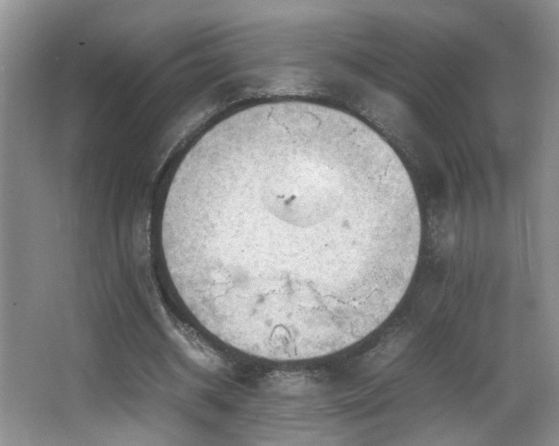 X0000065980534200603031157