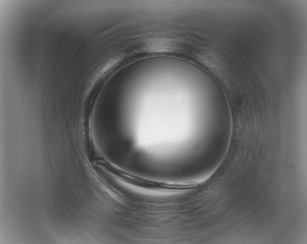 X0000065980535200603031157