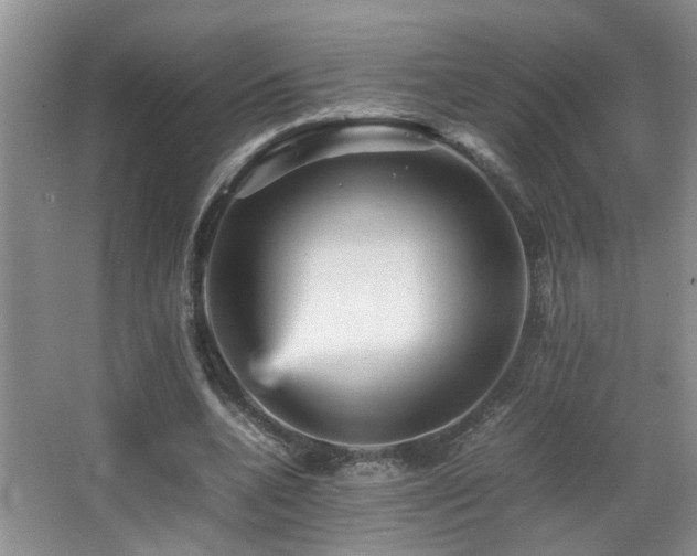 X0000065980536200603031157