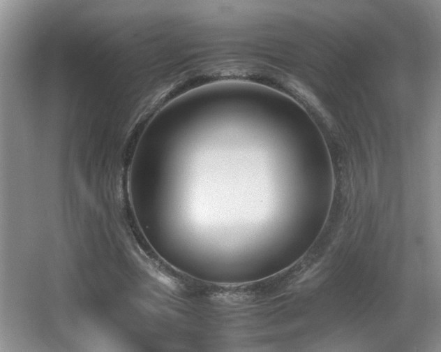 X0000065980537200603031157