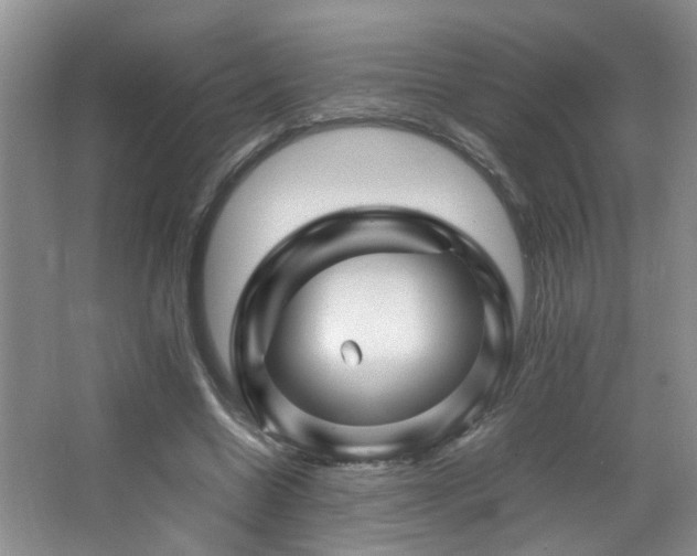 X0000065980538200603031157